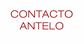 Contacto Antelo